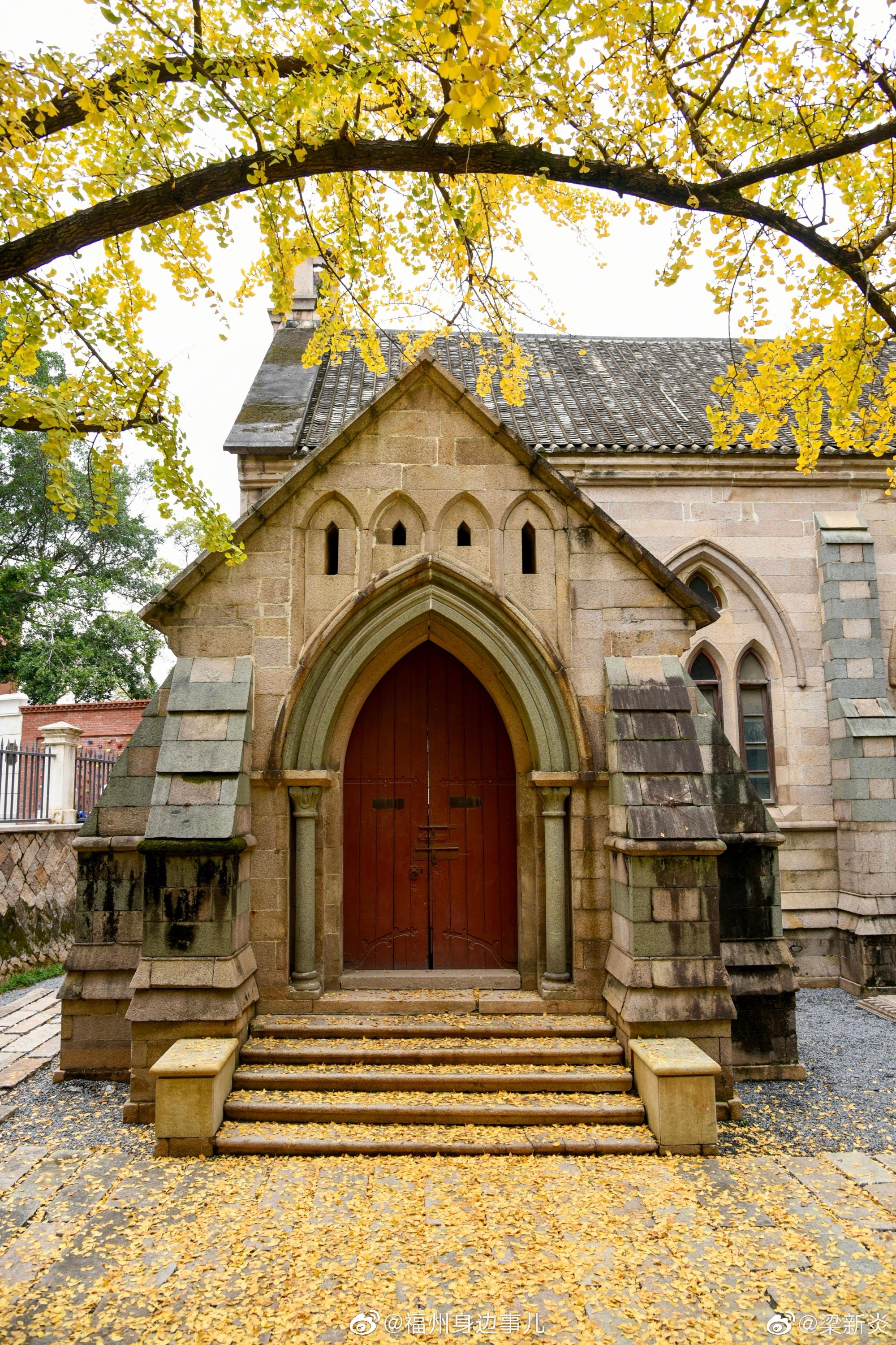 石厝教堂百年银杏