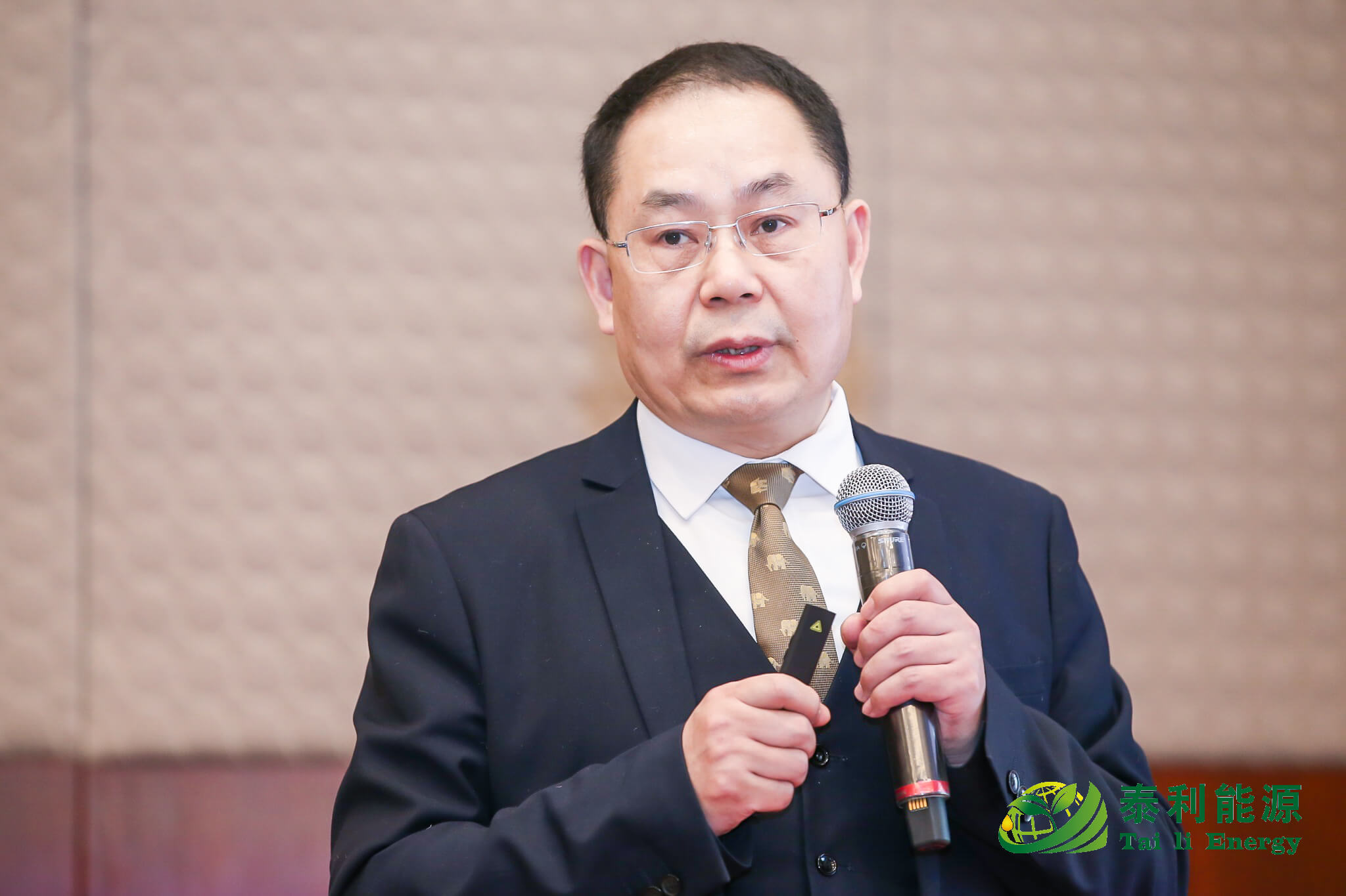 发布会上,泰利能源总工程师,北京泰利研究院院长马斐向参会人员详细