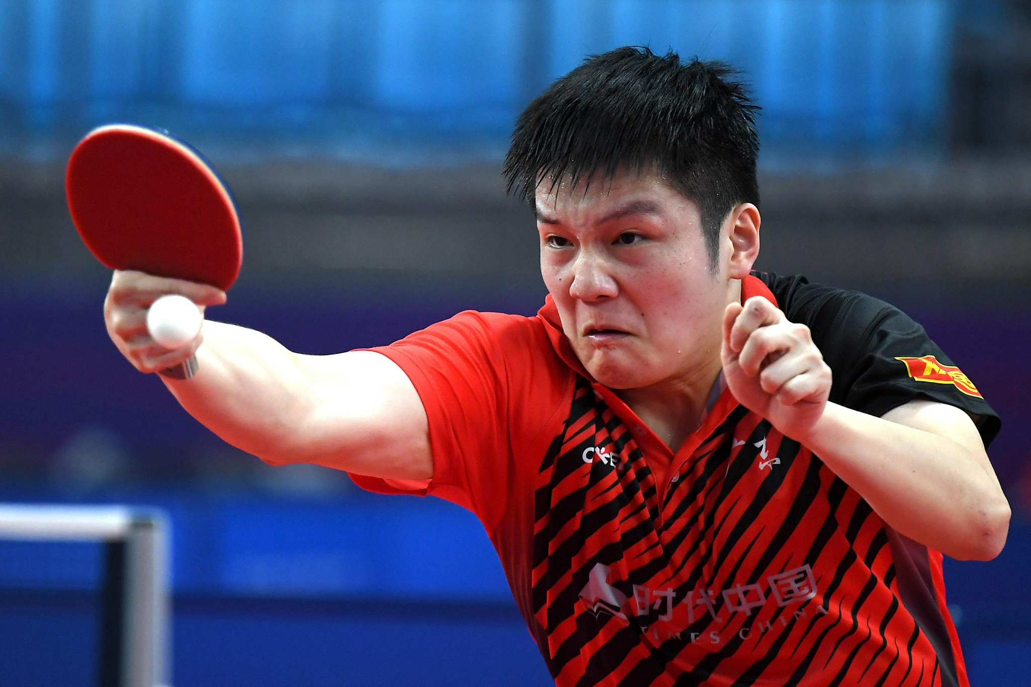 9月23日,广东队选手樊振东在比赛中庆祝.新华社记者 李安 摄