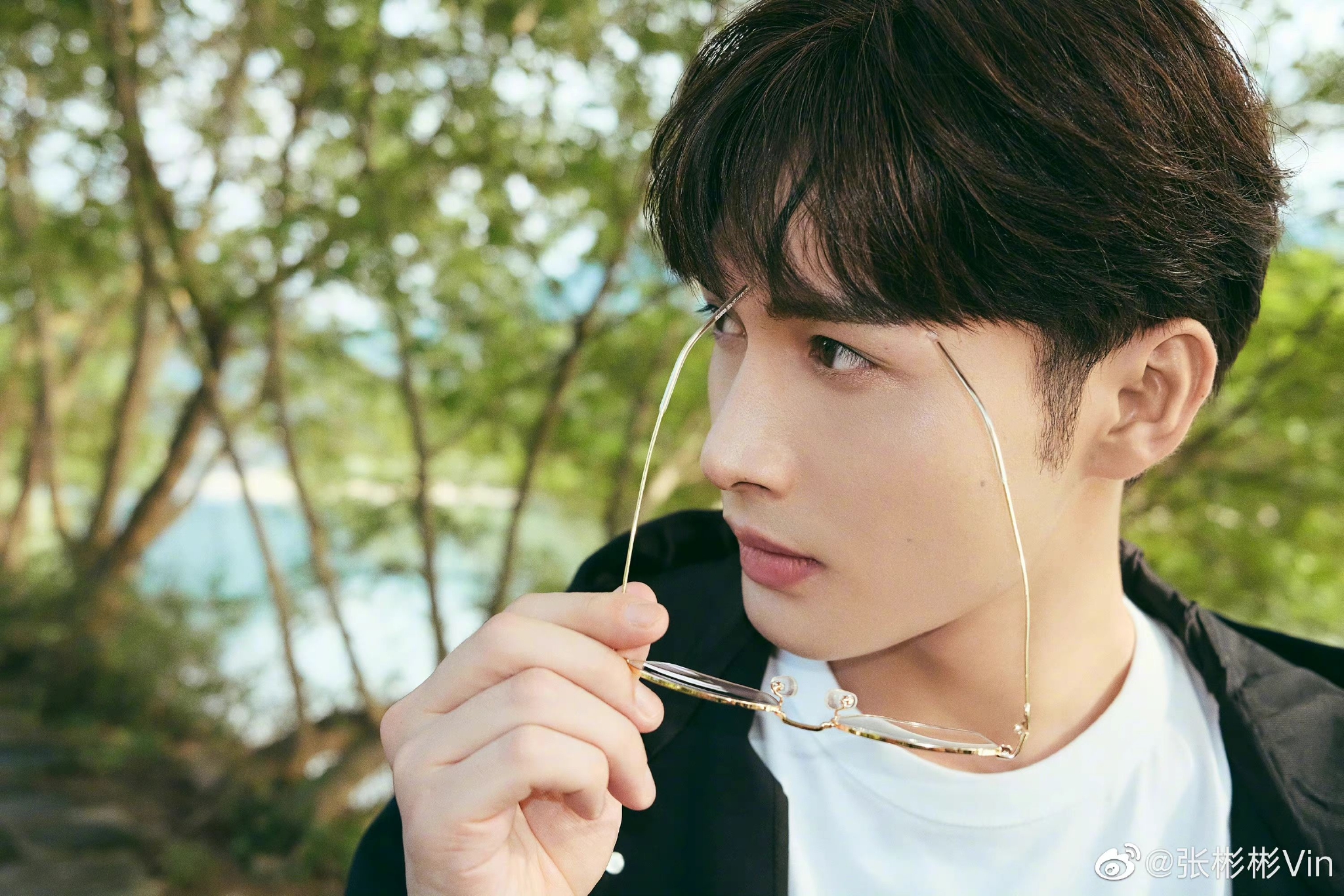 张彬彬竹林侧拍,戴上眼镜好帅,真的有种学术教授的感觉!