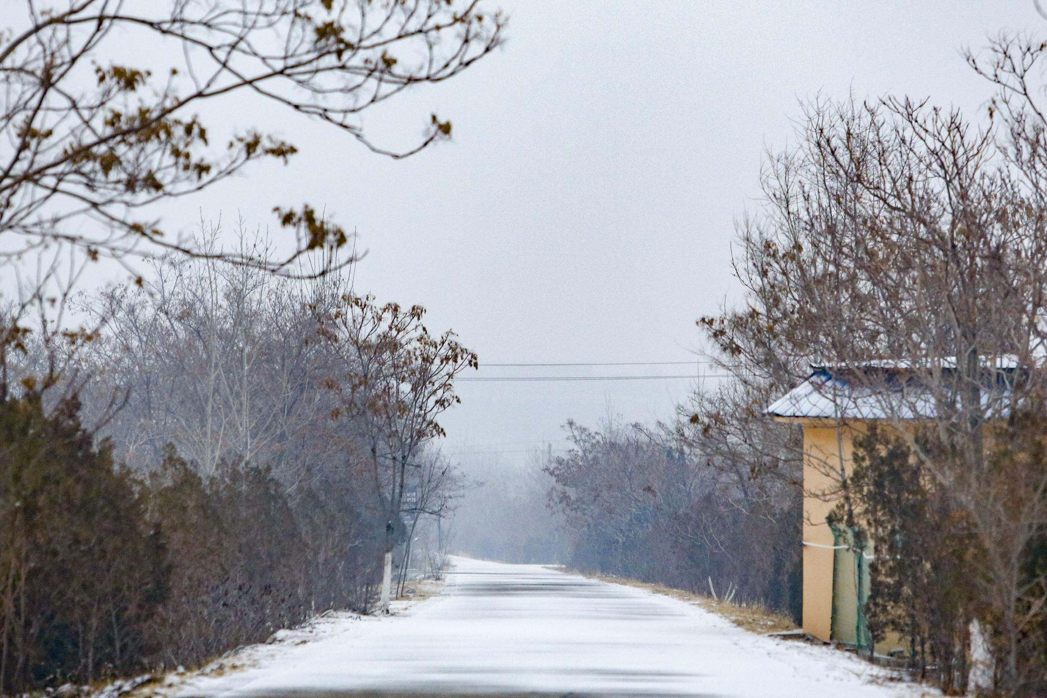 寧夏石嘴山迎來兔年首場降雪|石嘴山市|天氣|雪景_新浪新聞