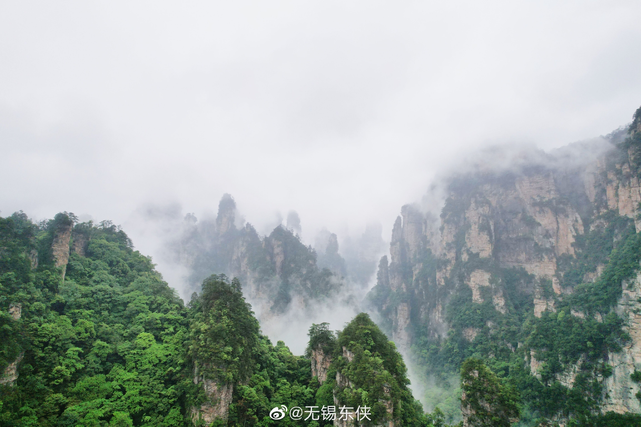 下着濛濛细雨,湖南张家界国家地质森林公园,像是仙境一般……__财经头条