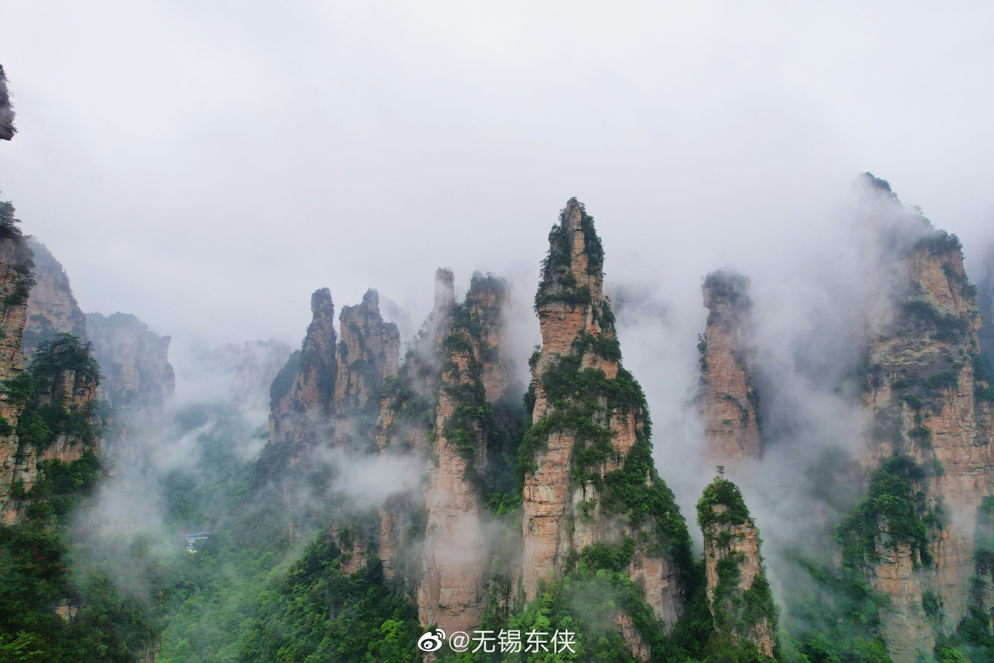 下着濛濛细雨,湖南张家界国家地质森林公园,像是仙境一般……__财经头条