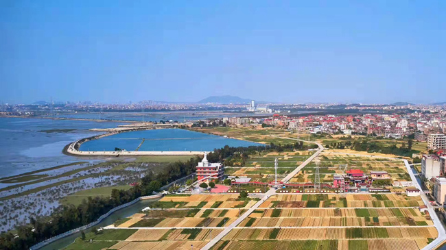 莆田秀屿东庄镇推动串点连线成片平畴沃野满目新