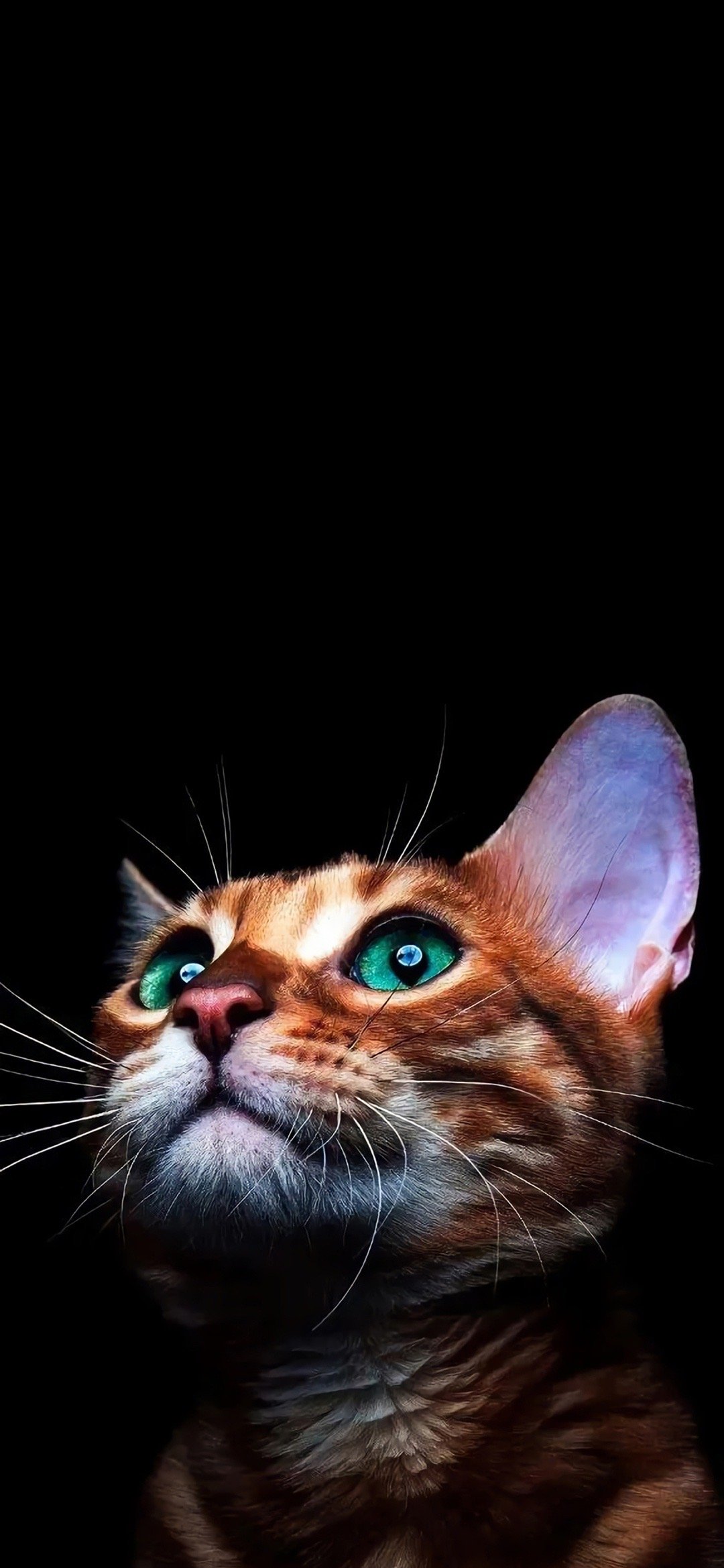 暗色系手机壁纸|暗色|手机壁纸_新浪新闻