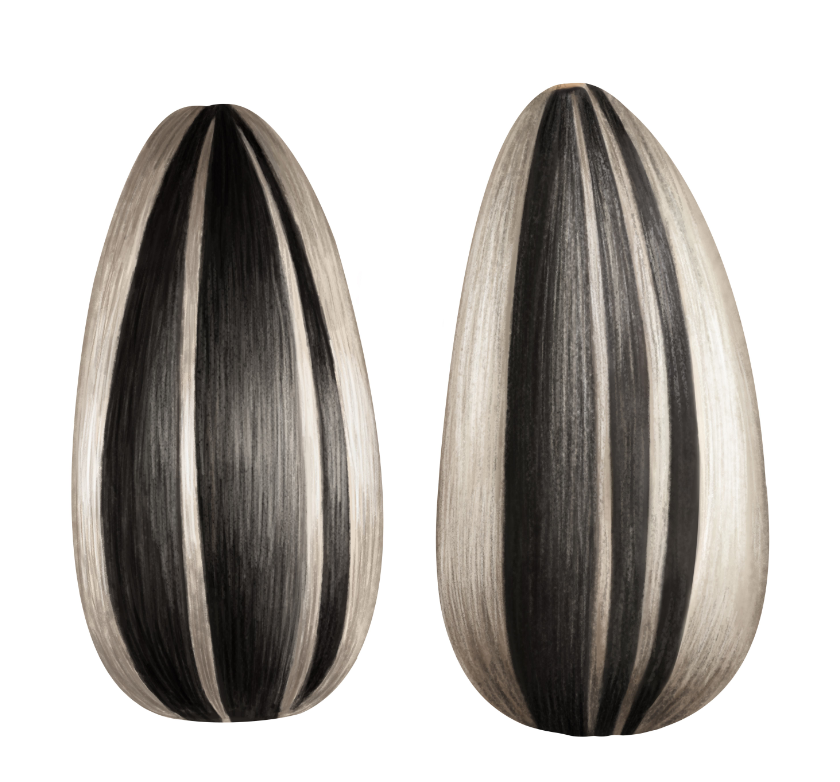 酒席上被逼写诗,12岁才子边吃瓜子边写此诗,仅28字流传600多年