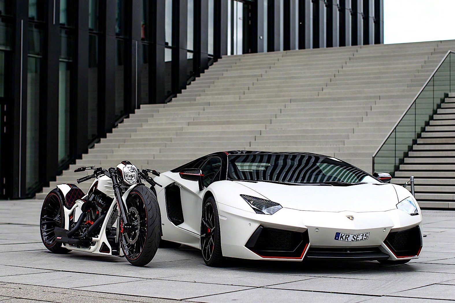 有钱真好,一土壕在购买了大牛以后