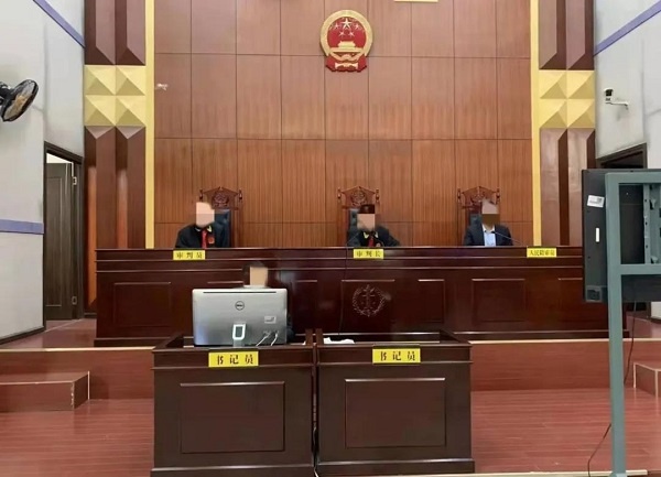 袭警案依法提起公诉,云县人民法院依法作出一审判决