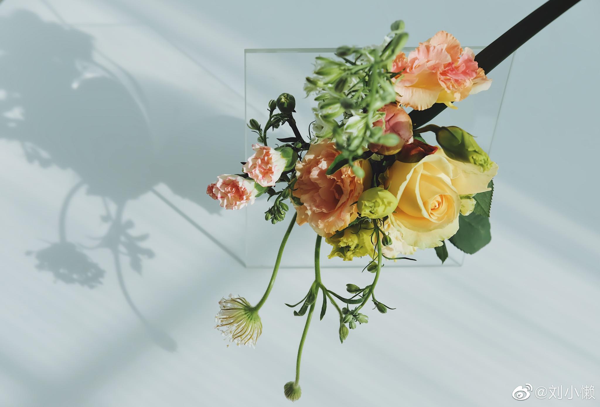 我收到了新鲜的花束 Y先生采买了新鲜的蔬菜 然后 我收到了新鲜的花束 Y先生采买了新鲜的蔬菜 然后