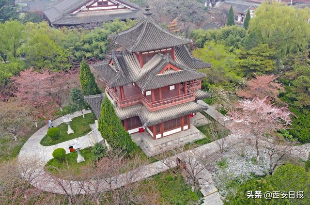 青龙寺遗址景区3月22日恢复开放