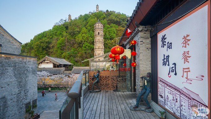 临海千年古城樱你而来