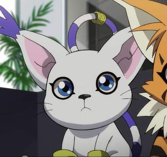 数码宝贝迪路兽给人感觉很弱其实它只是输给了二次元定律