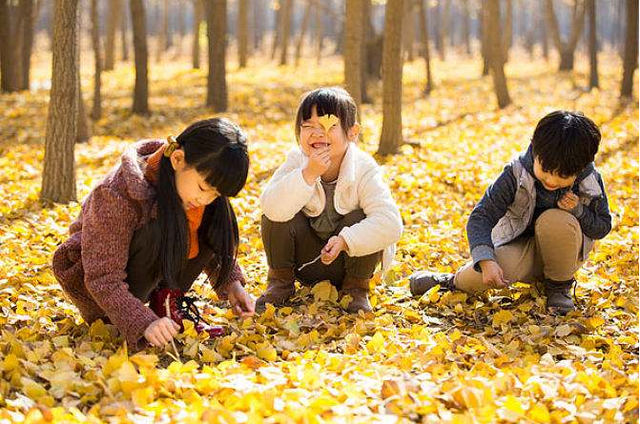 生三胎高考一人加50分五胎保送北大专家建议引网友质疑