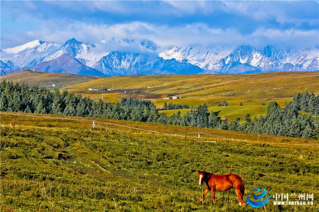 甘肃肃南初秋祁连山山迷人草原风光美如画卷