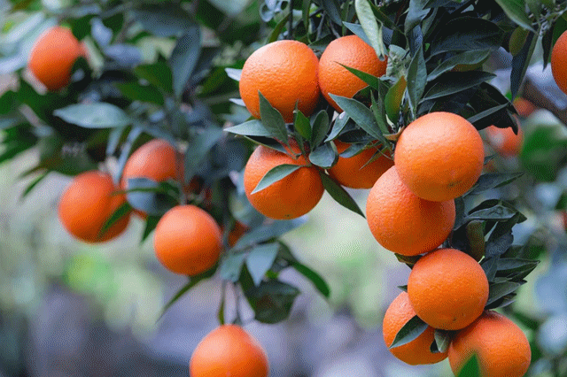 这里是百色市德保县