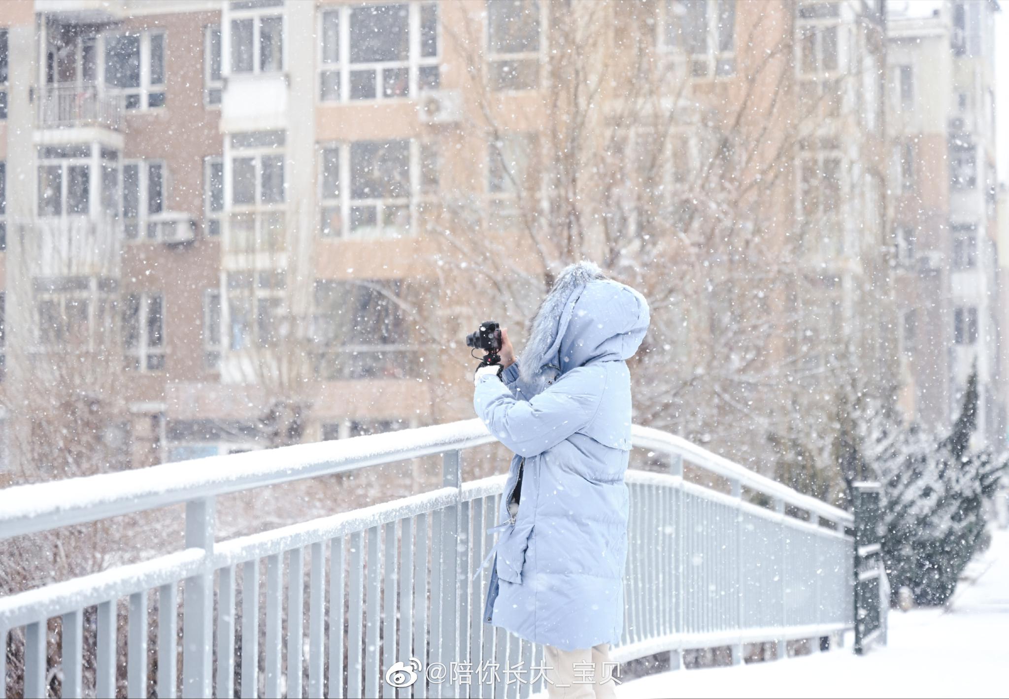 【高清图】鹅毛大雪-中关村在线摄影论坛
