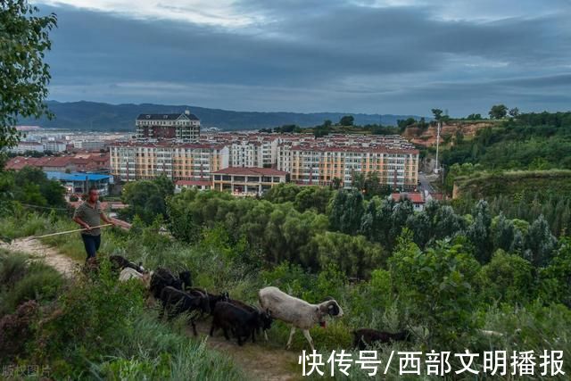 大案回顾:女子离婚后只身离家，2年后与小伙交易时客死他乡休闲区蓝鸢梦想 - Www.slyday.coM