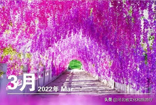 曲陽虎山全年大事件快來瞧瞧吧