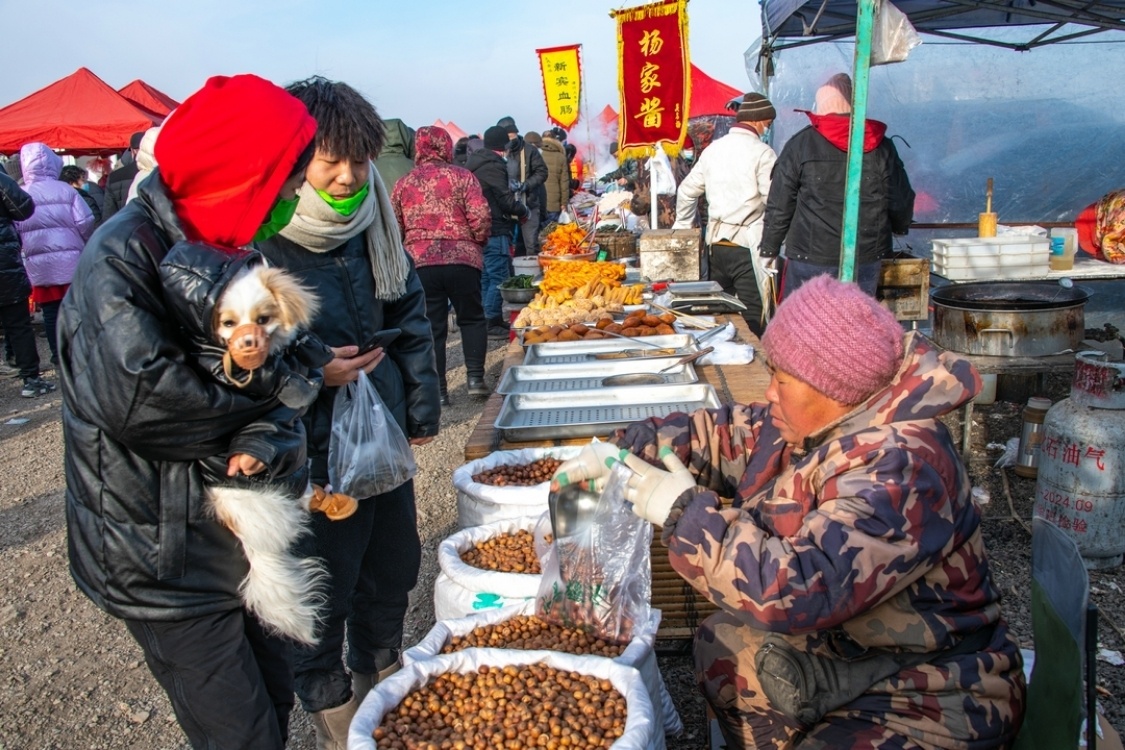 瀋陽蒲河大集年貨充足購銷兩旺