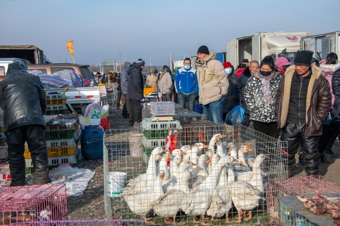 沈阳蒲河大集年货充足购销两旺