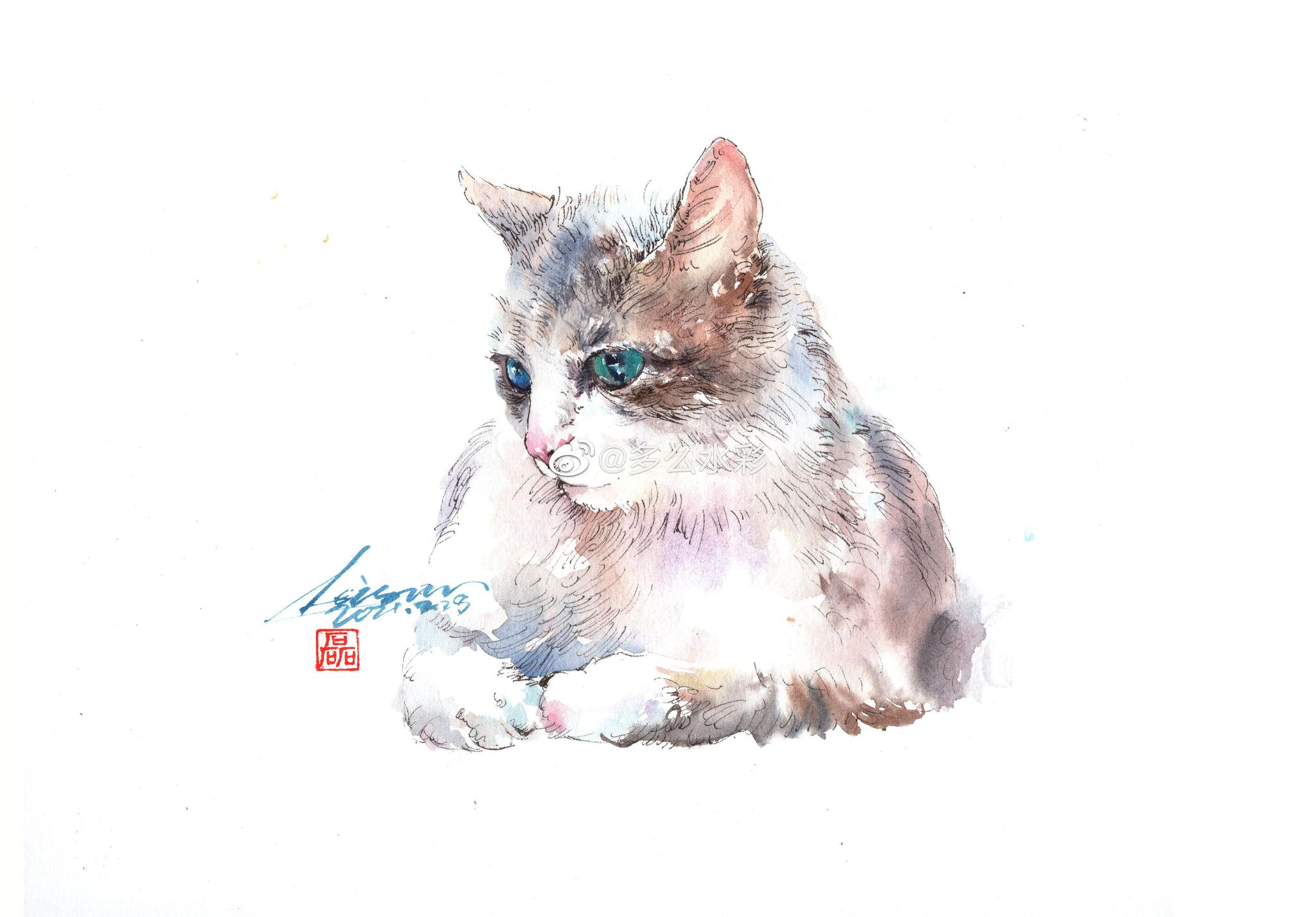 钢笔淡彩,窗台上的猫咪