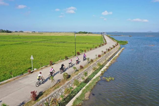 以党史之光照亮奋进之路万宁扎实开展党史学习教育综述