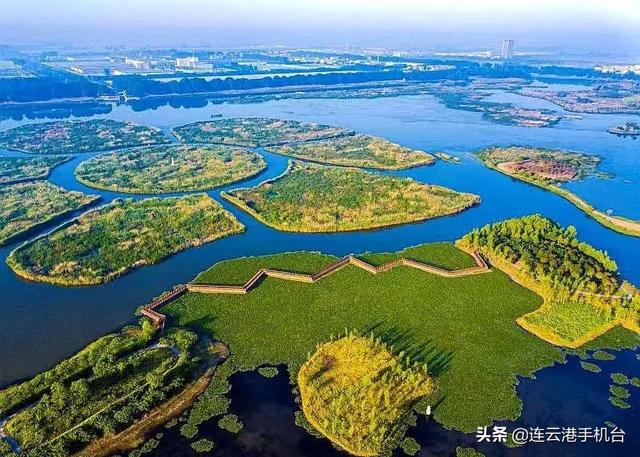 聚力打造东陇海产业带发展标杆!东海迈入全国双百强|企业|东海县|工业