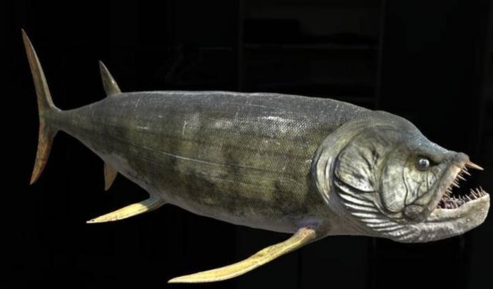 阿根廷发现远古鱼类化石身长超5米是白垩纪最恐怖的捕食者