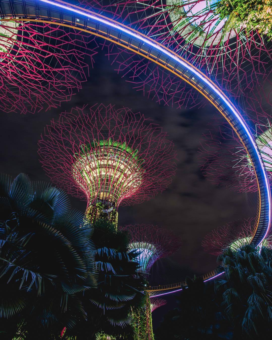 坐落在新加坡中心海湾的滨海湾花园(Gardens by the Bay)于2012年对