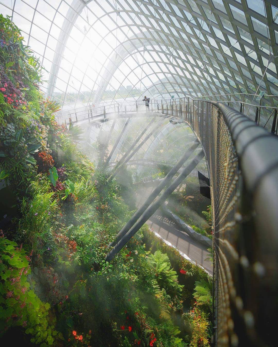 坐落在新加坡中心海湾的滨海湾花园（Gardens by the Bay）于2012年对