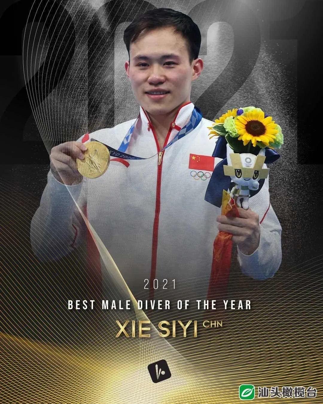 再度加冕谢思埸当选国际泳联年度最佳跳水运动员
