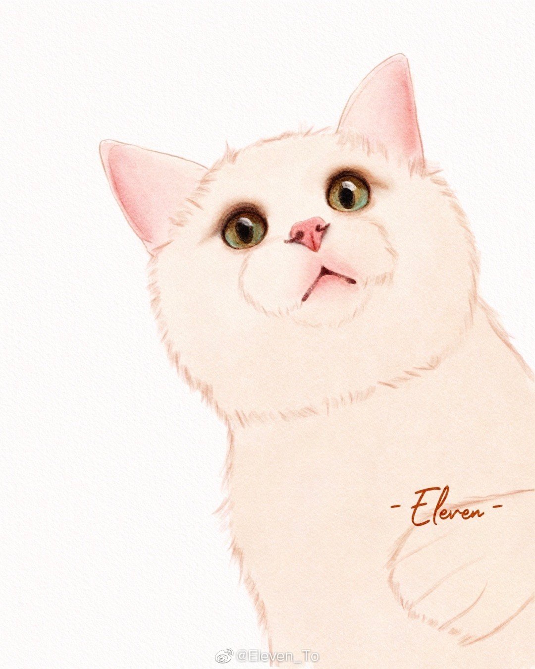 ipad水彩宠物 | 金渐层作者:@eleven_to 67ipad水