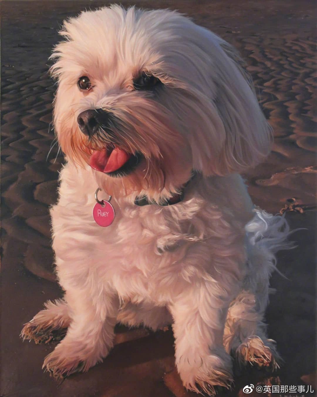 一位肖像画家画的狗狗 这 财经头条