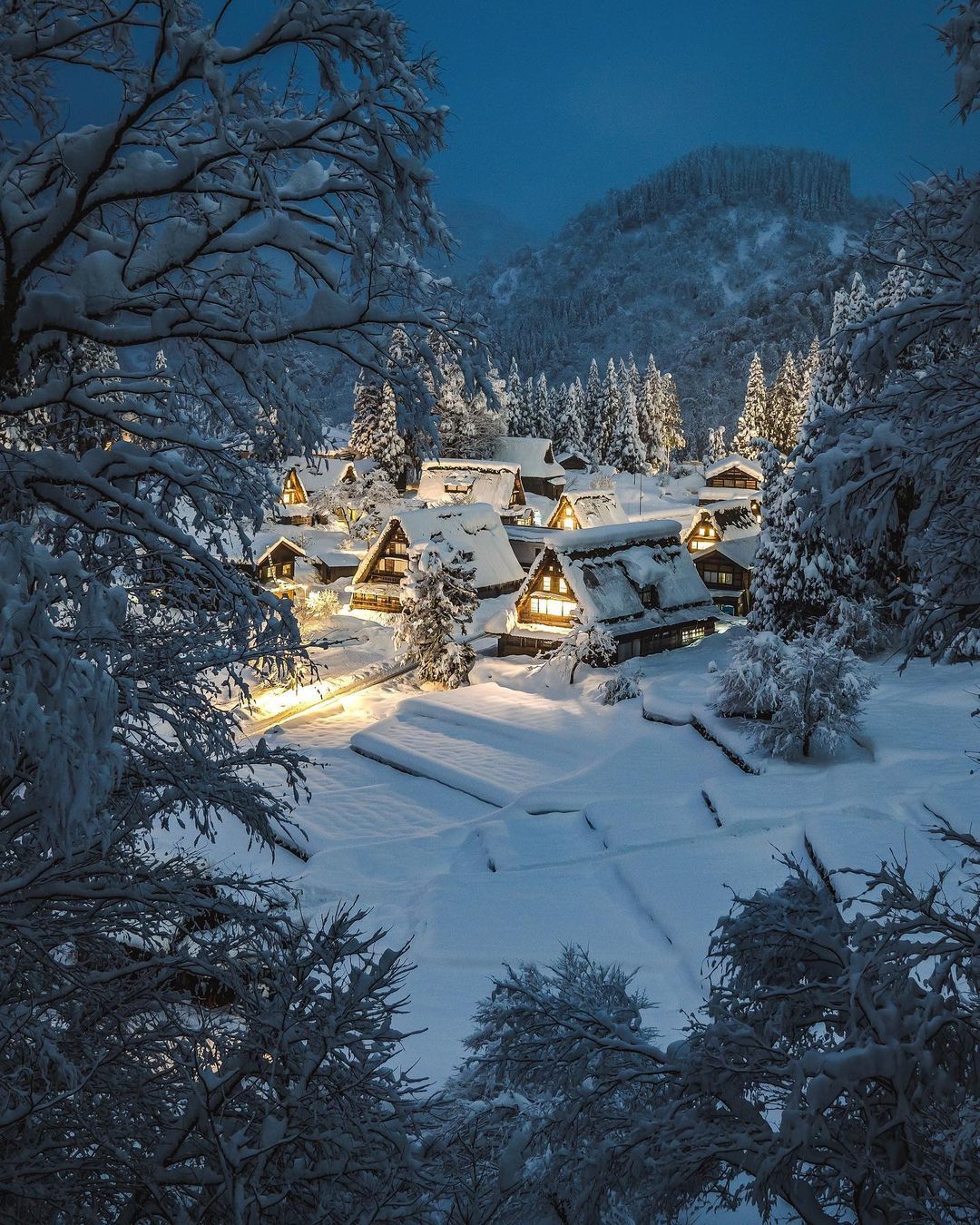 一组霓虹冬季风景写真