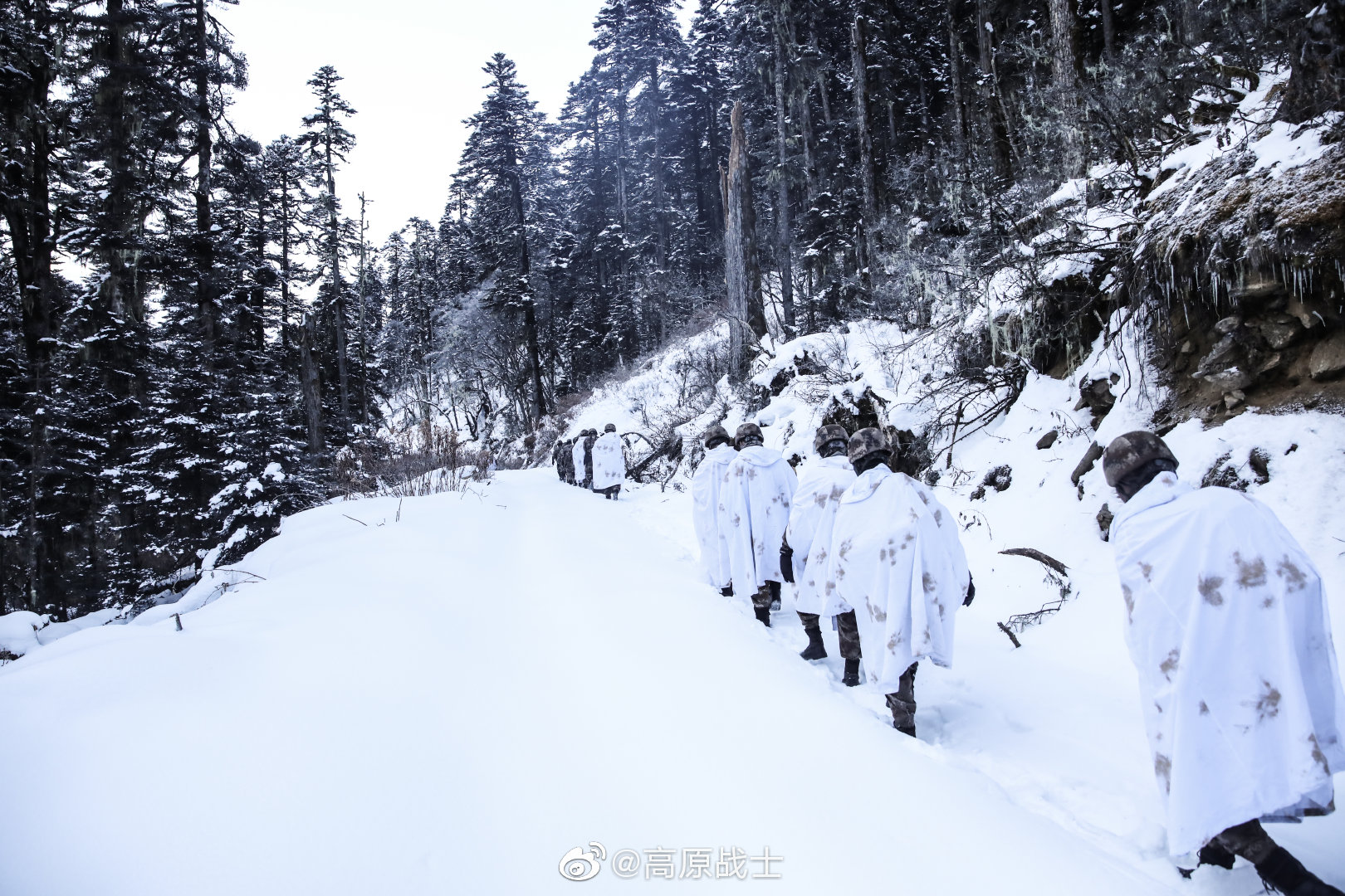雪山边防战士图片