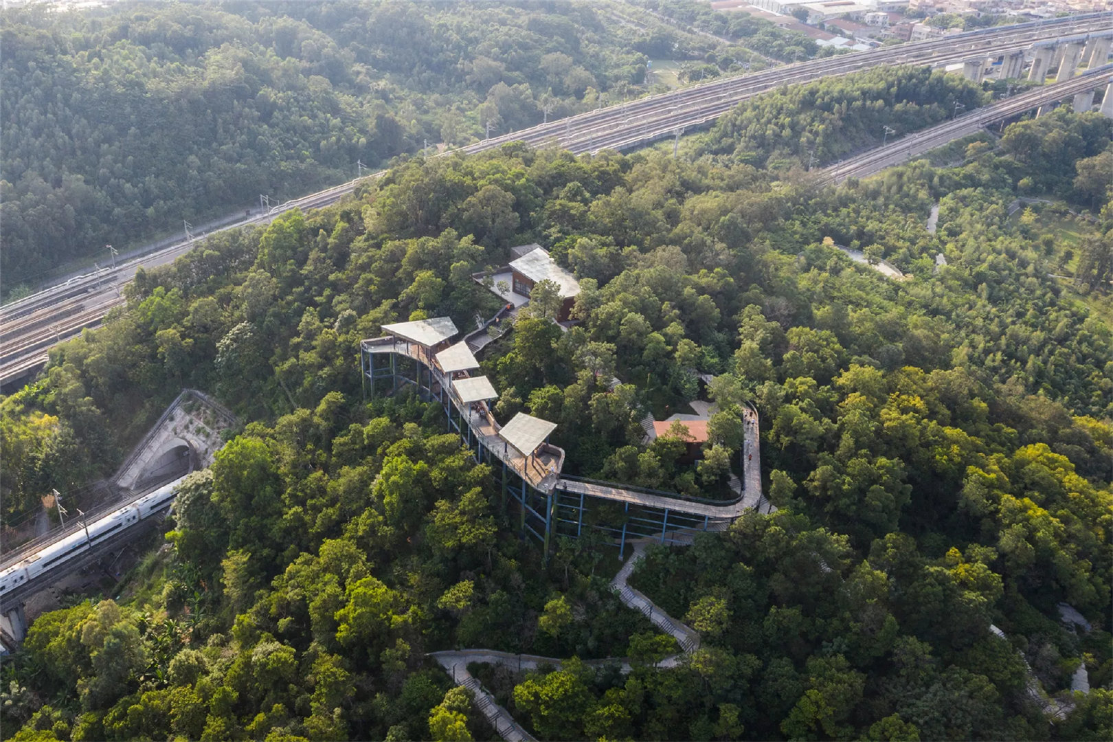 佛山市南海区三山森林公园swagroup