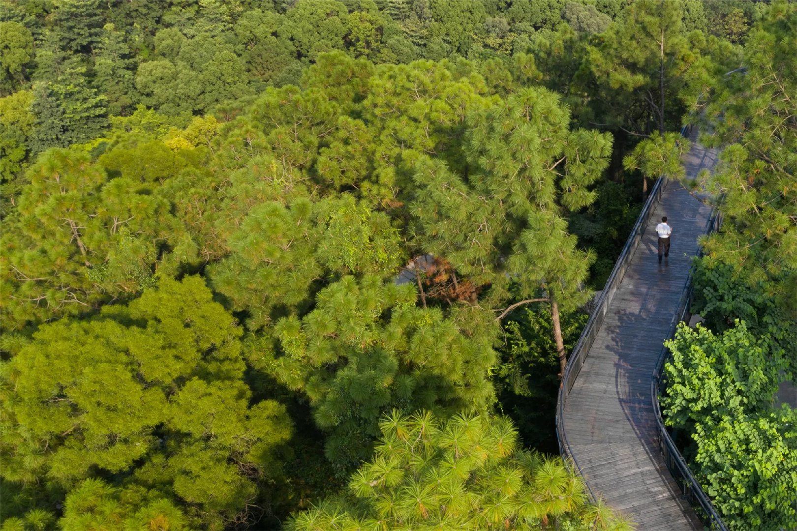 佛山市南海区三山森林公园swagroup