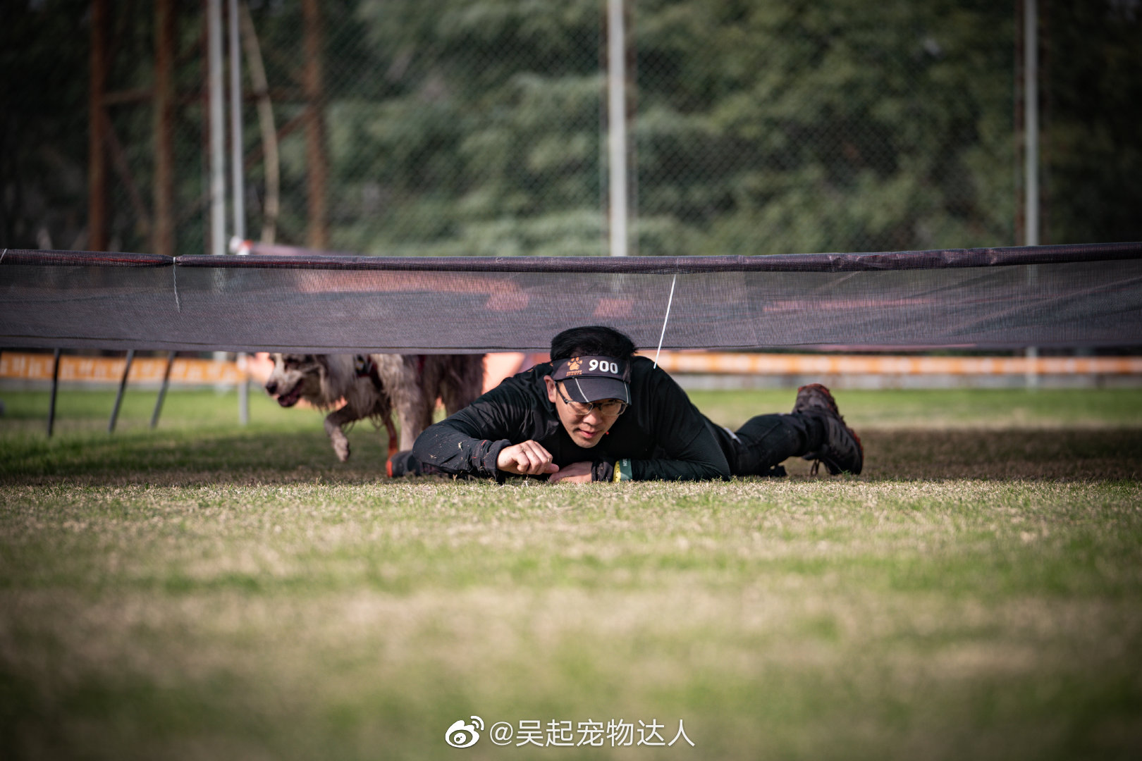 几年前专门给训犬班的学生们教了带狗匍匐前进的课程……__财经头条