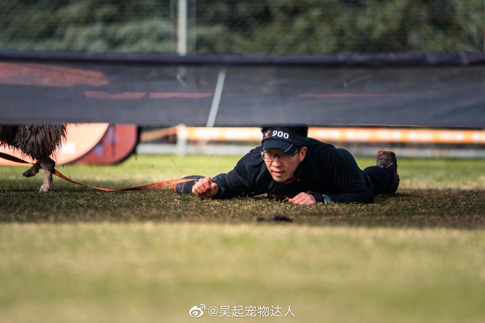几年前专门给训犬班的学生们教了带狗匍匐前进的课程……__财经头条