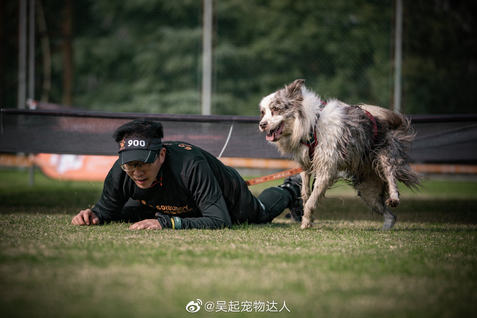 几年前专门给训犬班的学生们教了带狗匍匐前进的课程……__财经头条