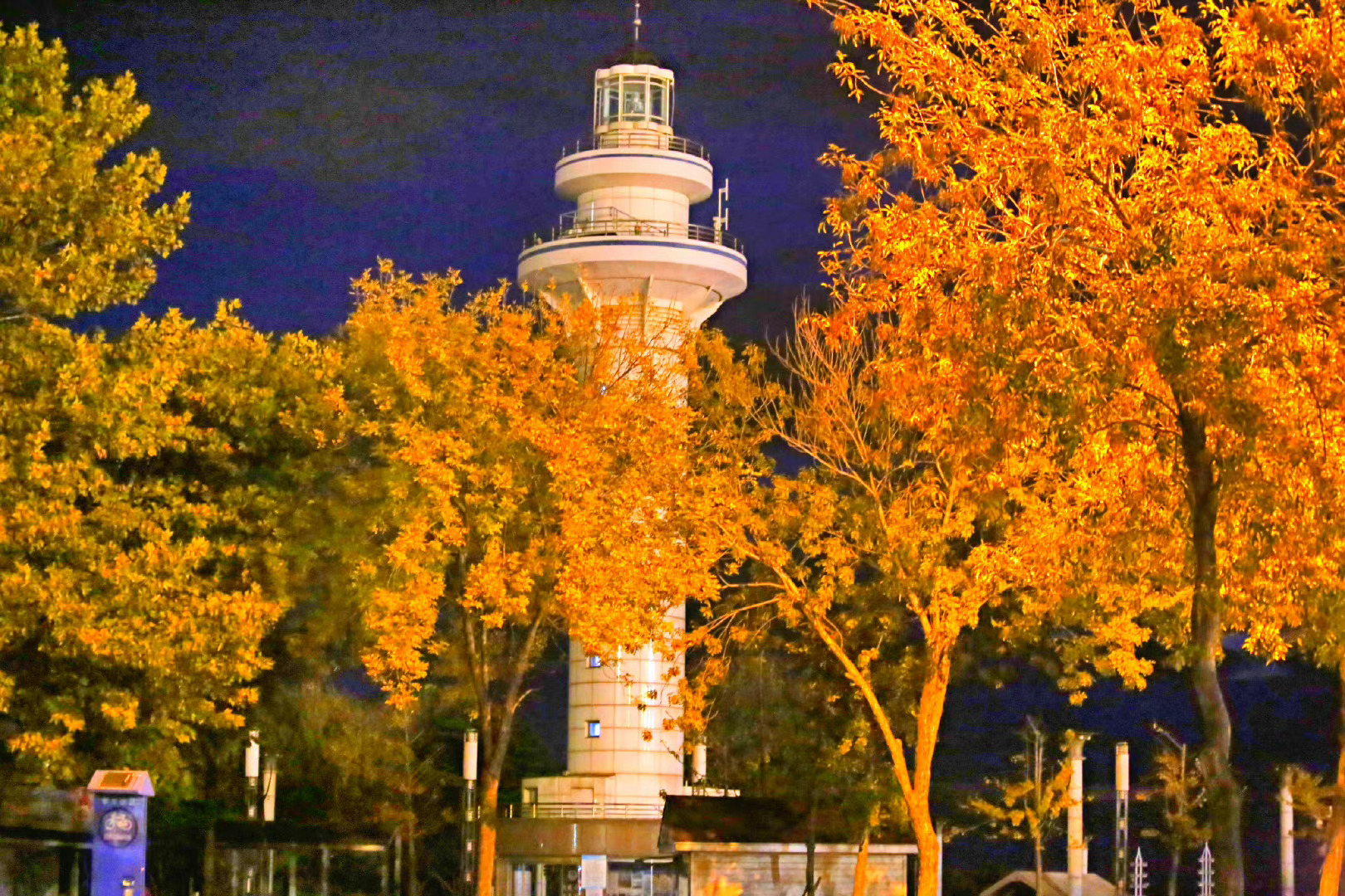 凌晨五点的日照灯塔广场有多美叫我如何不爱你