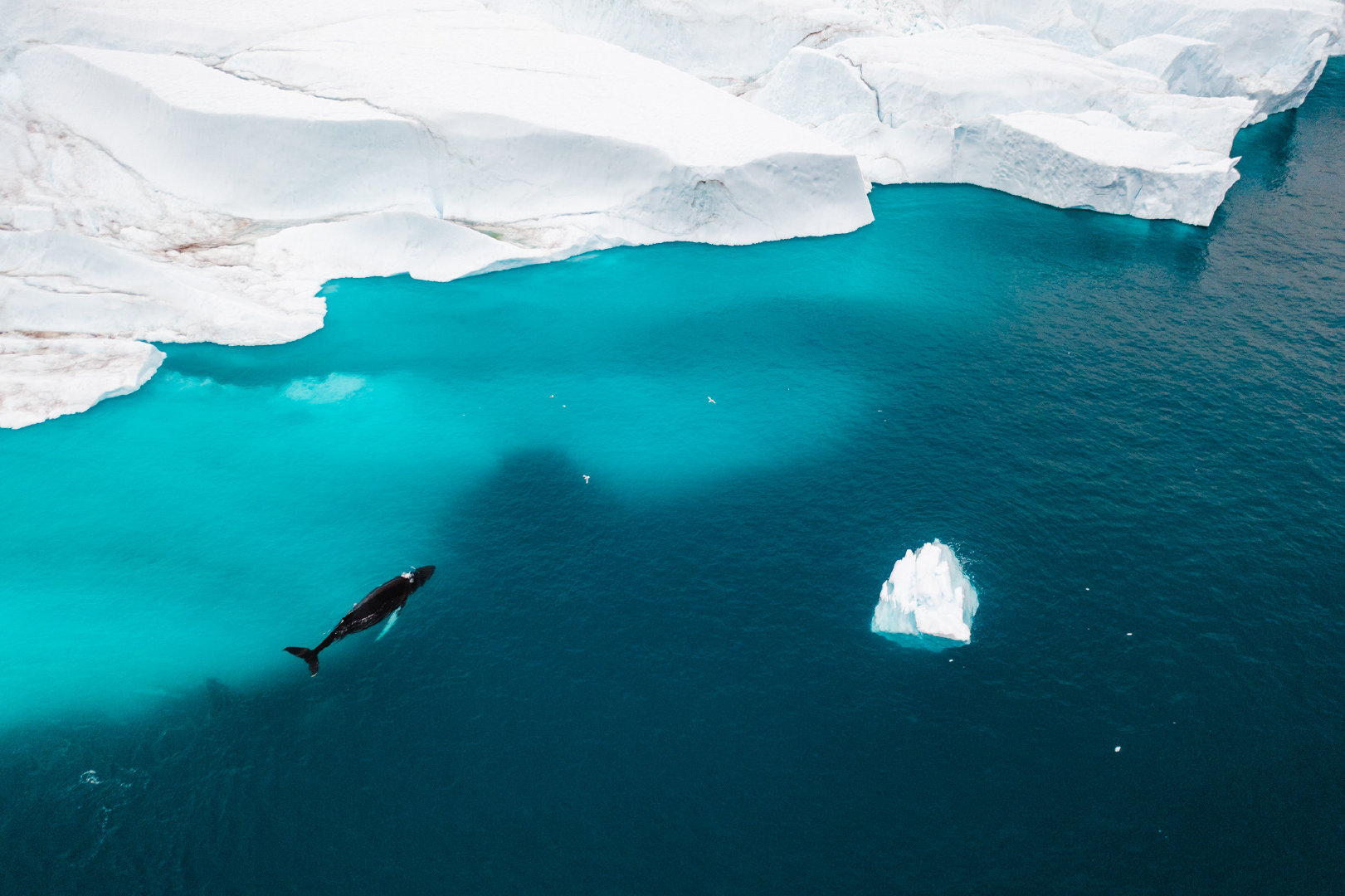 从迪斯科湾到伊卢利萨特被称为格陵兰的最美之地