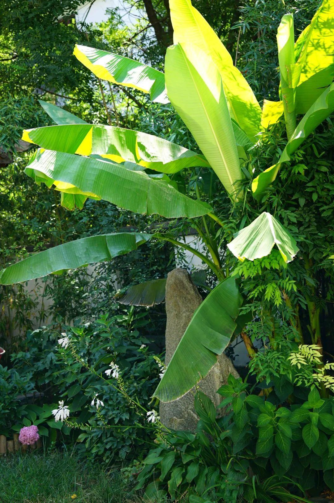 1080_1624竖版 竖屏