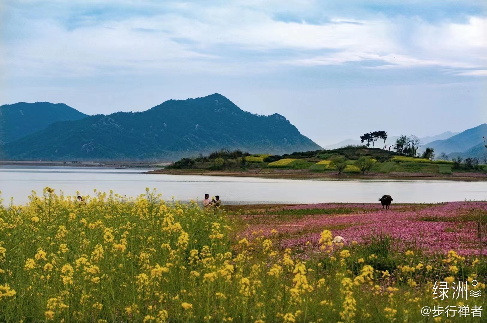 花海岱冲湖,四季云烟处_高清图集_新浪网
