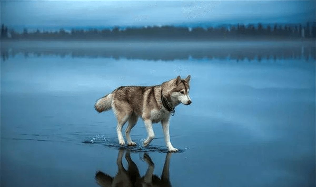 34张不可思议的照片,居然没有一张PS过休闲区蓝鸢梦想 - Www.slyday.coM 34张不可思议的照片,居然没有一张PS过休闲区蓝鸢梦想 - Www.slyday.coM