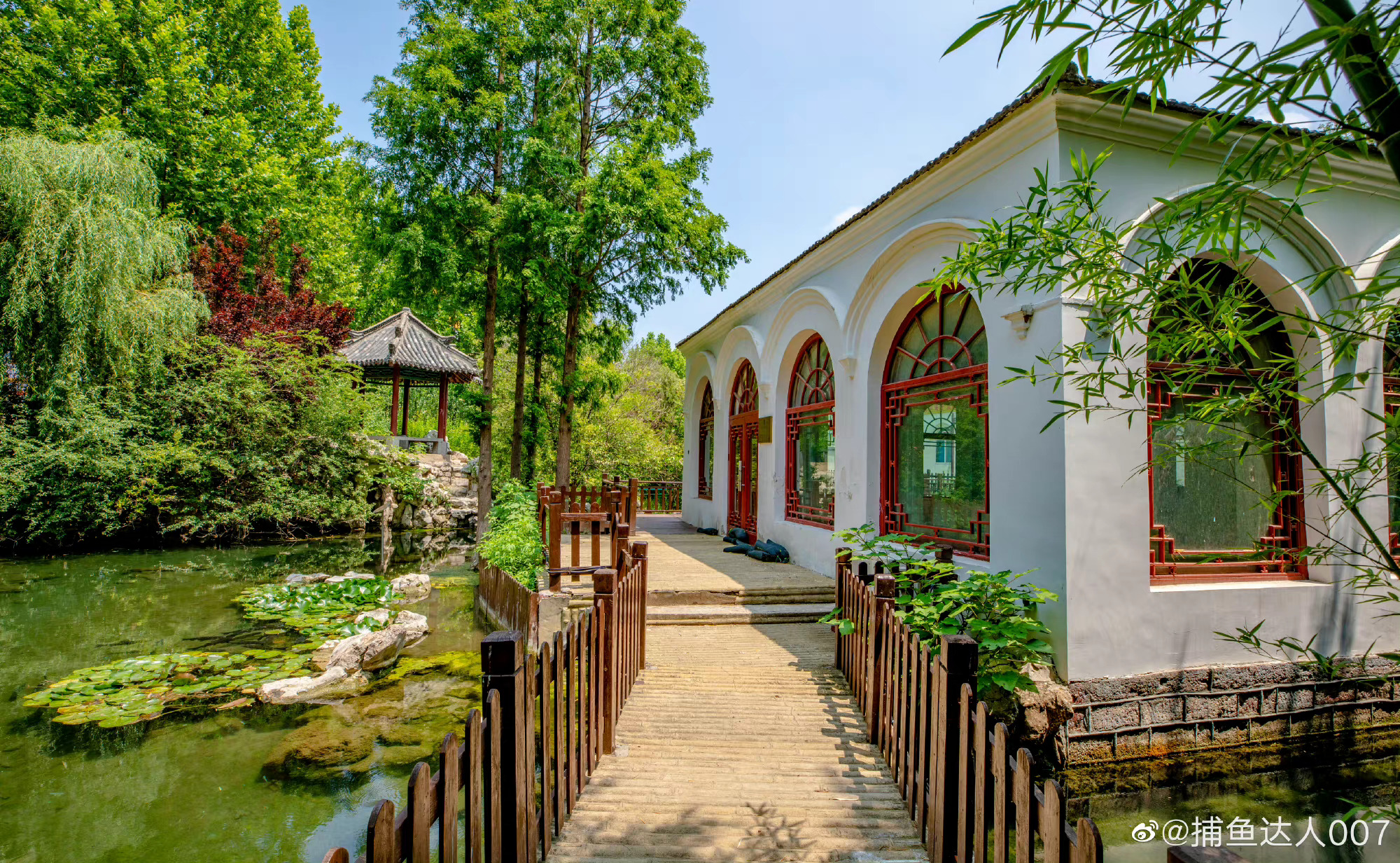 夏日漫步何家花园676767打卡济南小众美景via