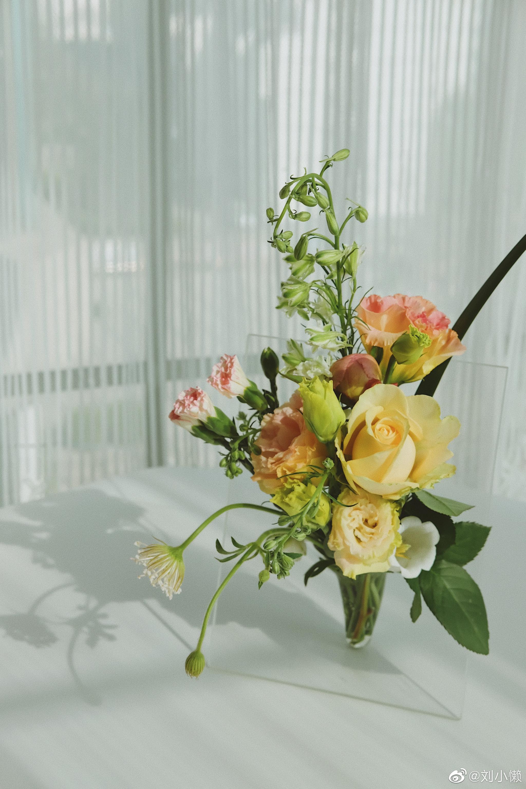 我收到了新鲜的花束 Y先生采买了新鲜的蔬菜 然后 我收到了新鲜的花束 Y先生采买了新鲜的蔬菜 然后