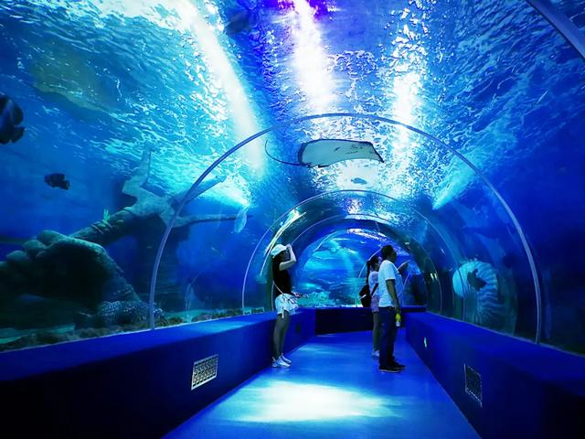 每日一宿丨与海同行,"鱼"你同眠|贵州|海洋|极地_新浪新闻