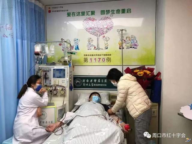 周口市西华县第5例造血干细胞捐献者杨云航同志凯旋归来