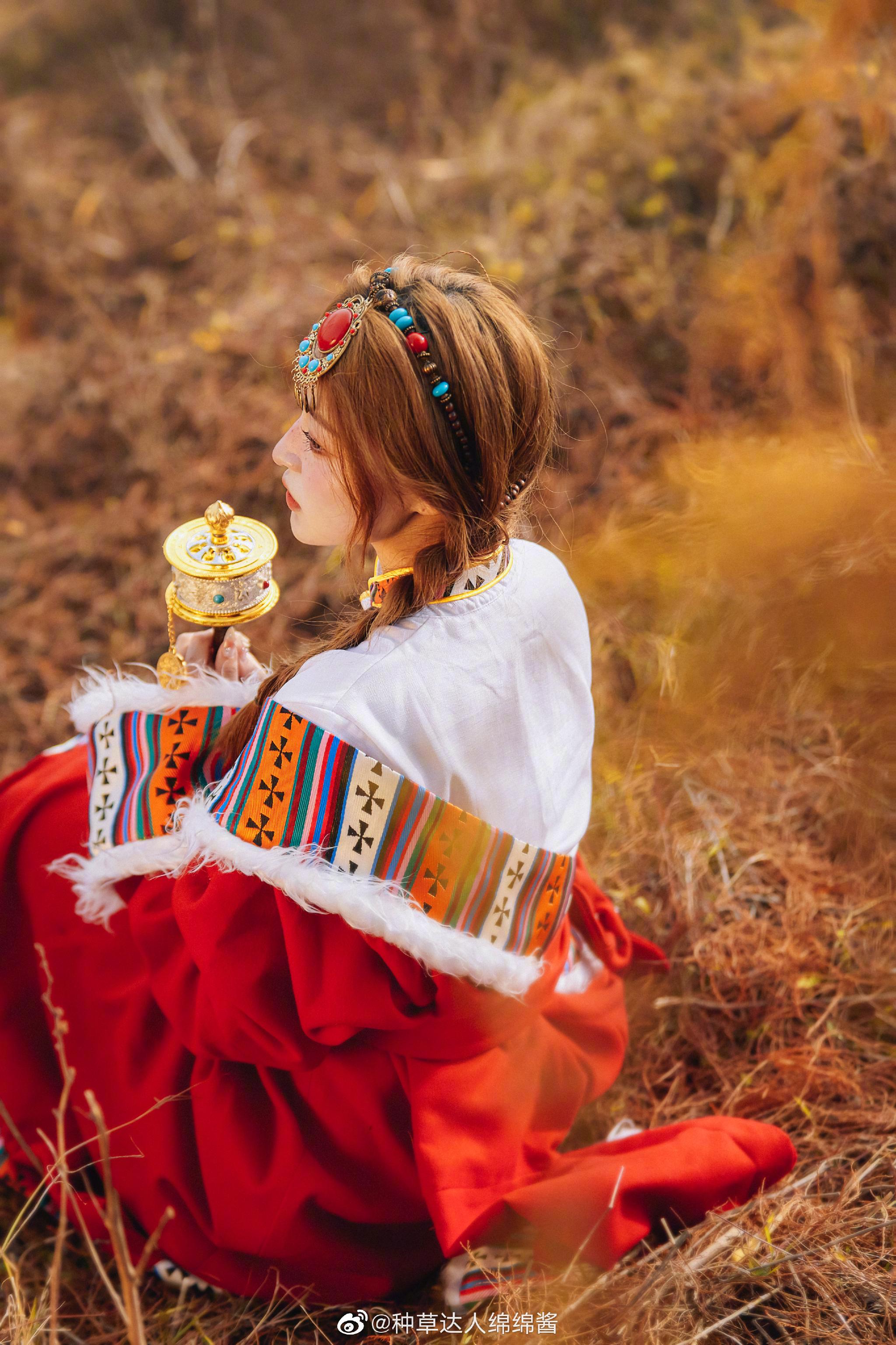 绵酱の藏族写真我愿做高岭上自由自在的格桑花